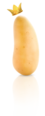 Description de l'engagement