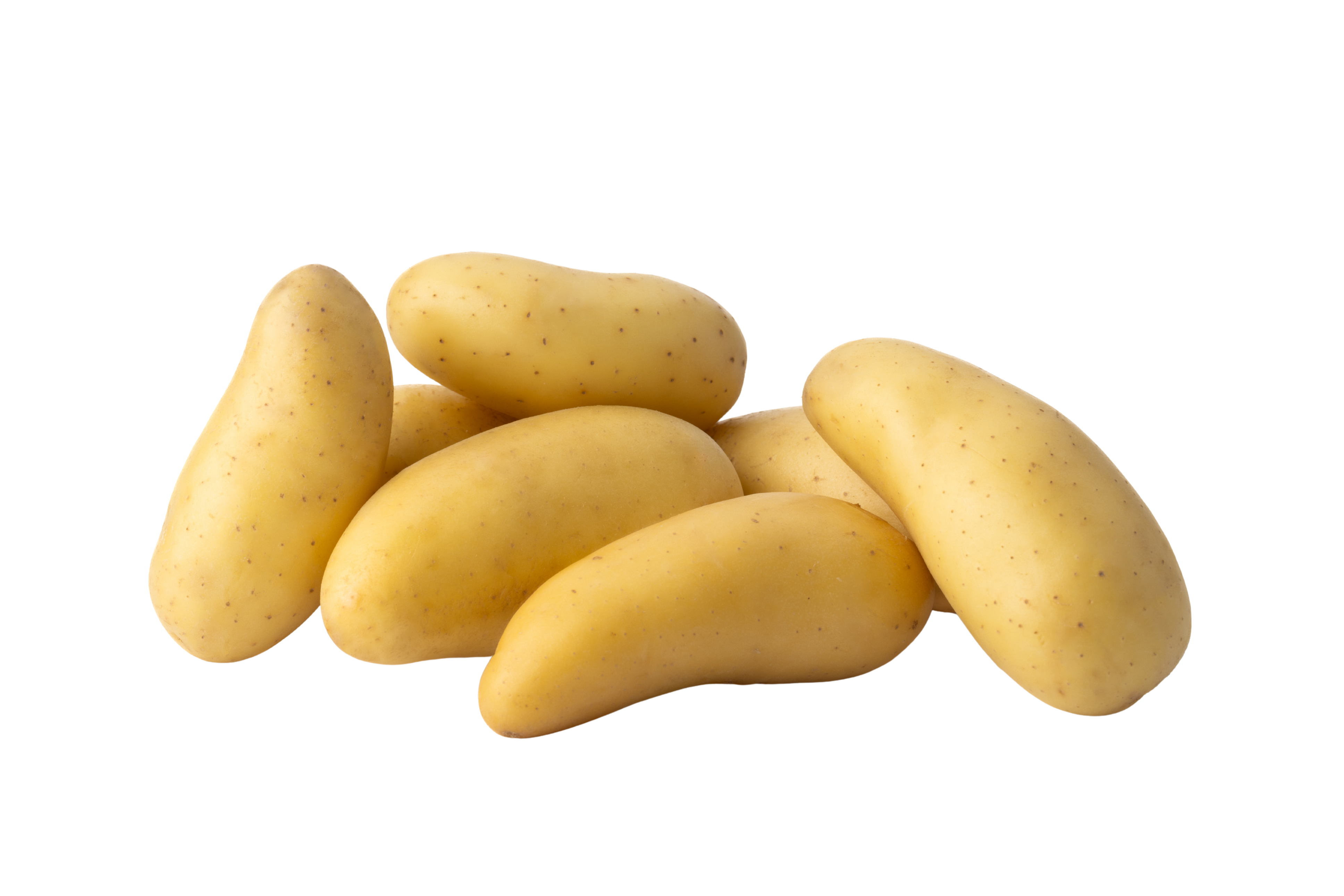 Assortiment de recettes à base de pommes de terre