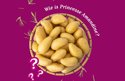 wie is princesse amandine